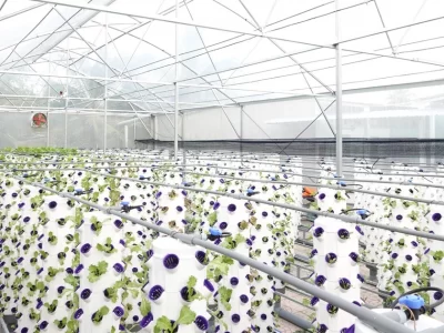 Giá Thiết Kế Thi Công Nhà Kính Nông Nghiệp – Nhà Lưới Trọn Gói Đà Lạt Lâm Đồng